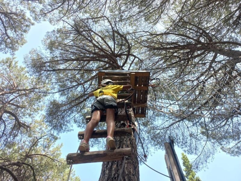 Monti Rossi Adventure Park Entry Ticket Full - The Details That Matter: Pricing, Duration, and What’s Included