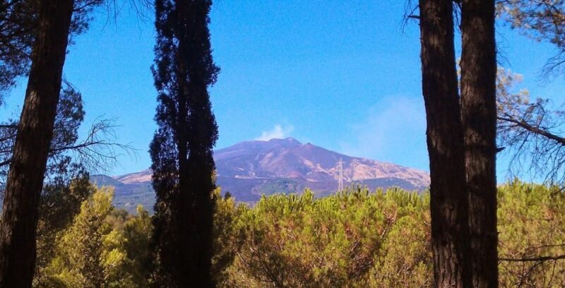 Monti Rossi Adventure Park Entry Ticket - Final Thoughts: Is It Worth It?  