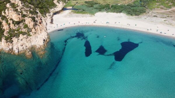 Monti Russu: Hiking Tour in Sardinia - Exclusions