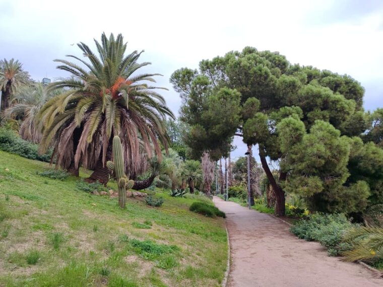 Montjuic Guided E-Bike Tour With Tapas and Panoramic Views - Tour Features