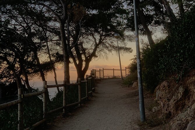 Montjuïc Magic: Hidden Pathways, Vermut Delights & Sunset Bliss - The Sum Up