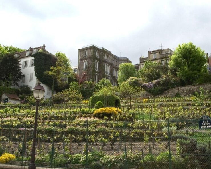 Montmartre : The Wine Maker's Rally - Activity Details