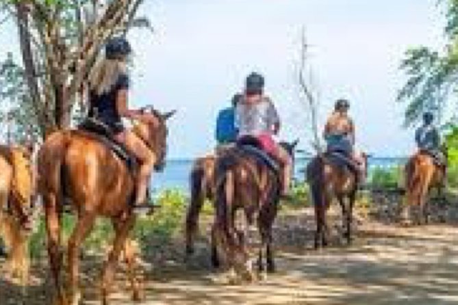 Montpelier ATV, Zipline, Swimming, and Horse Adventure  - Lucea - Booking Details