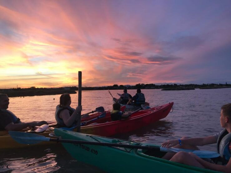 Montpellier: Birdwatching by Kayak in Camargue - Key Points