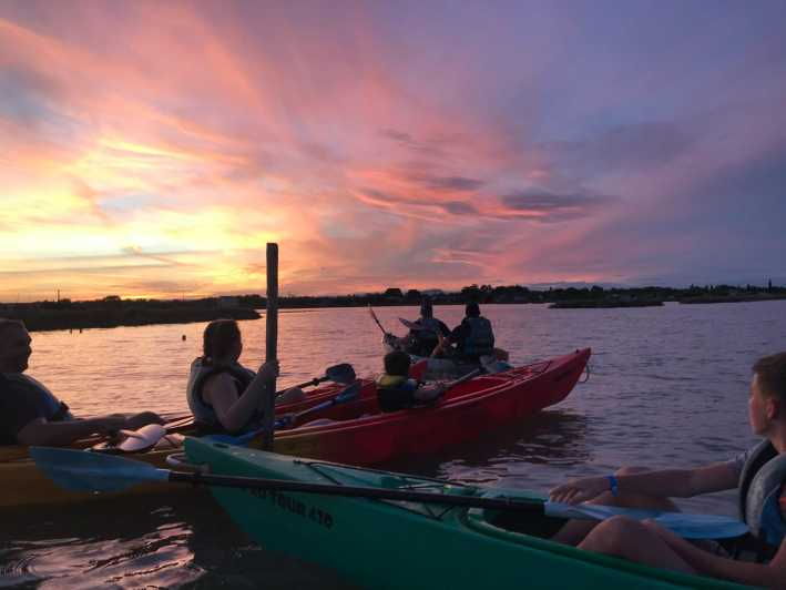 Montpellier: Birdwatching by Kayak in Camargue - Unique Wildlife Encounters