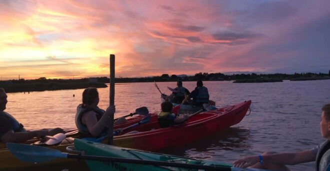 Montpellier: Birdwatching by Kayak in Camargue - The Kayaking Experience