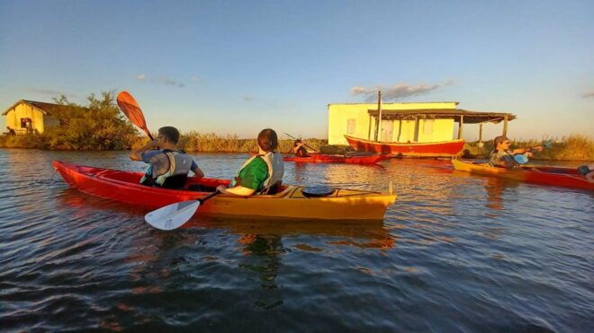 Montpellier: Birdwatching by Kayak in Camargue - Essential Equipment Provided
