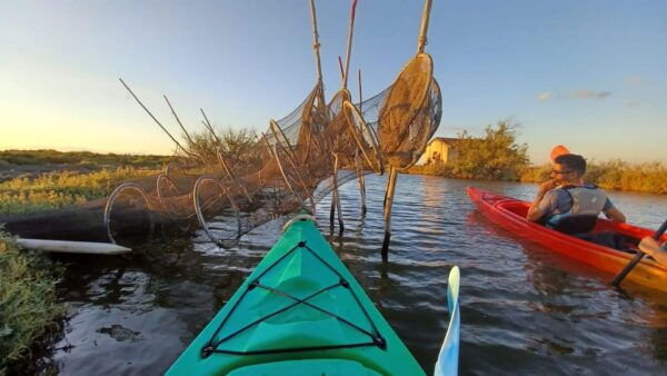Montpellier: Birdwatching by Kayak in Camargue - Meeting Point and Facilities