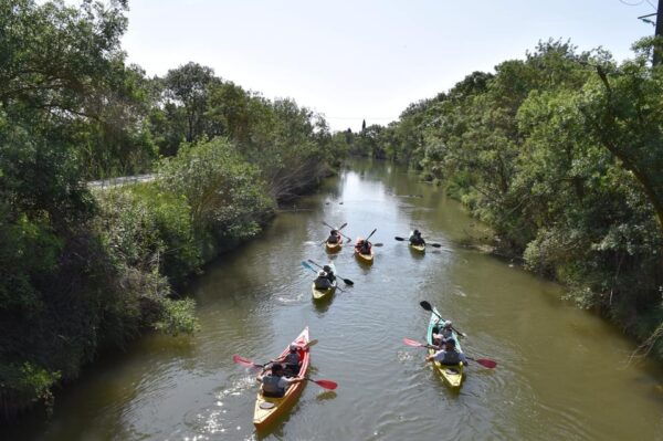 Montpellier: Birdwatching by Kayak in Camargue - Tips for Your Adventure