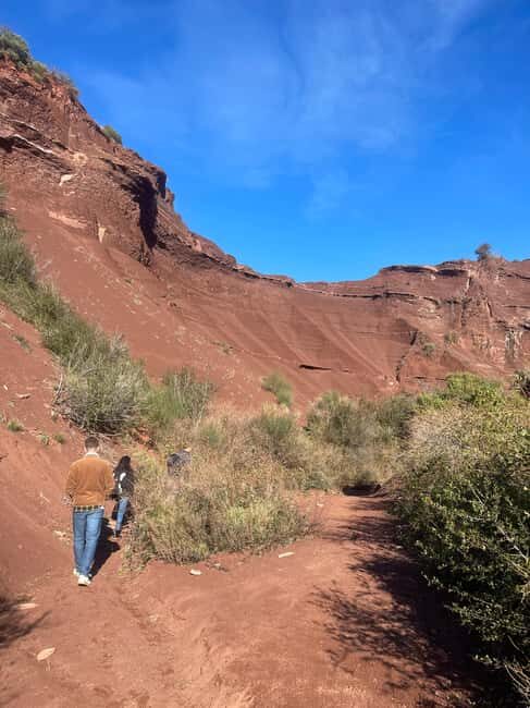 Montpellier: Celles, Capitelles & Local Wine Tasting Tour - A Closer Look at the Experience