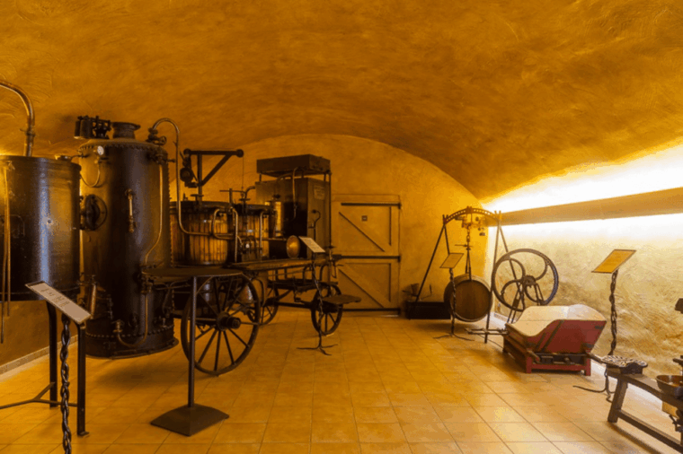 Montpellier: Full Day Truffles and Chateauneuf-Du-Pape Wines - Exploring the Vineyards