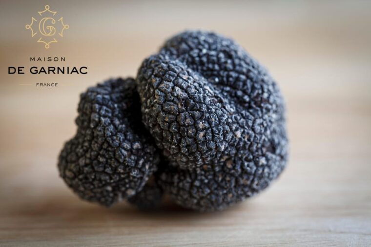 Montpellier: Full Day Truffles and Chateauneuf-Du-Pape Wines - Award-Winning Wine Tastings