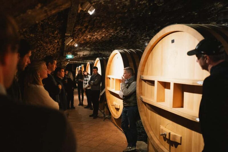 Montpellier: Full day Truffles and Chateauneuf-du-Pape Wines - An In-Depth Look at the Full-Day Tour