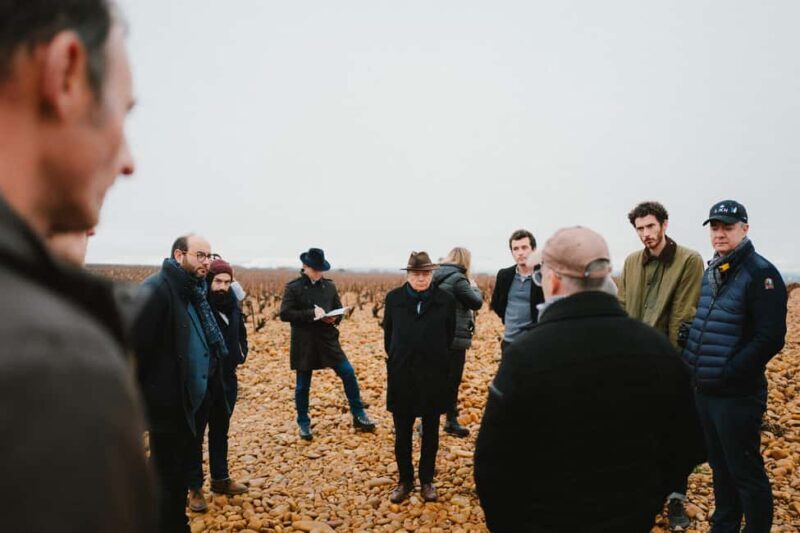 Montpellier: Full day Truffles and Chateauneuf-du-Pape Wines - Who Is This Tour Best Suited For?