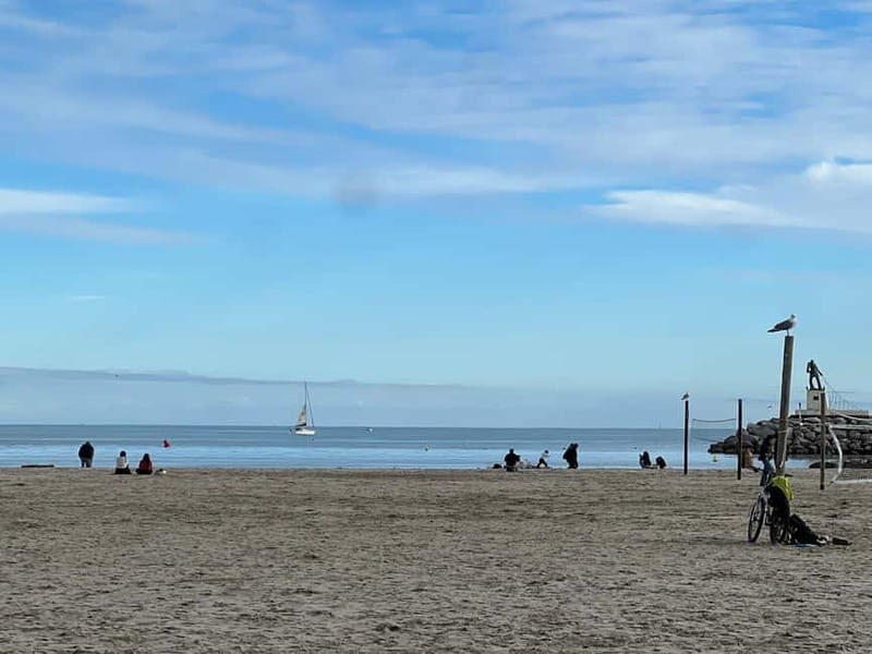 Montpellier: Guided Electric Bike Ride Along the Coast - The Value and Who Should Book