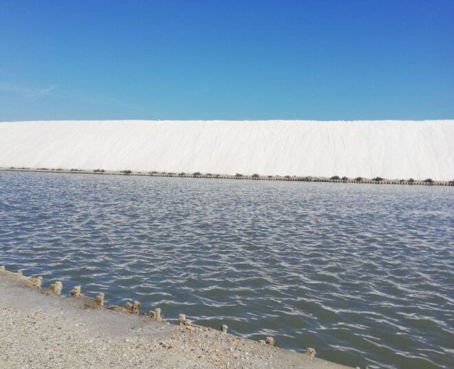 Montpellier: Guided Half-Day Trip to a Camargue Manade - Select Participants and Date