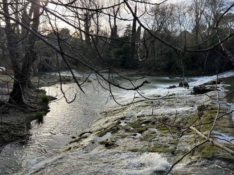 Montpellier: Guided Tour of Unusual Places by Electric Bike - Final Thoughts