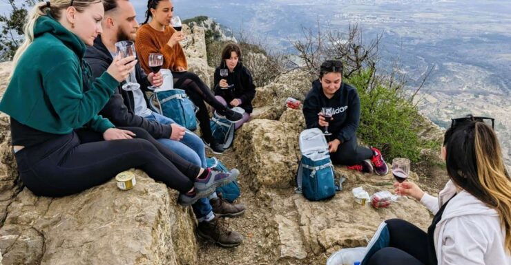 Montpellier: Half-Day Hiking Tour of Pic Saint Loup & Picnic - Experience Highlights