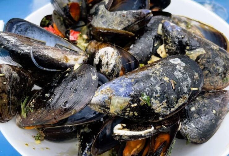 Montpellier: Half-Day Trip to Etang De Thau Lake With Lunch - Experience Highlights