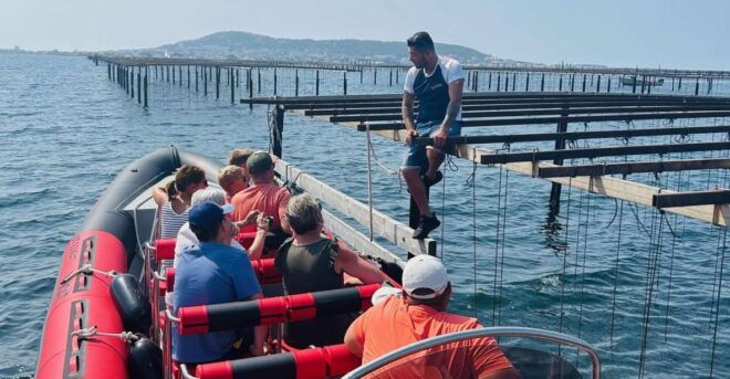 Montpellier: Half-Day Trip to Etang De Thau Lake With Lunch - Small Group Experience
