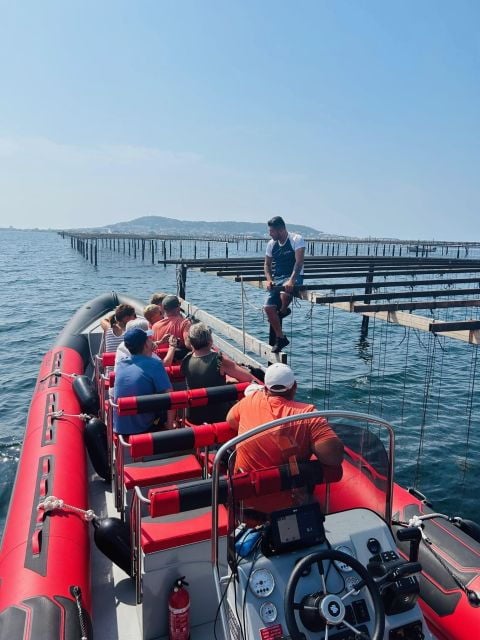 Montpellier: Half-Day Trip to Etang De Thau Lake With Lunch - Activity Details