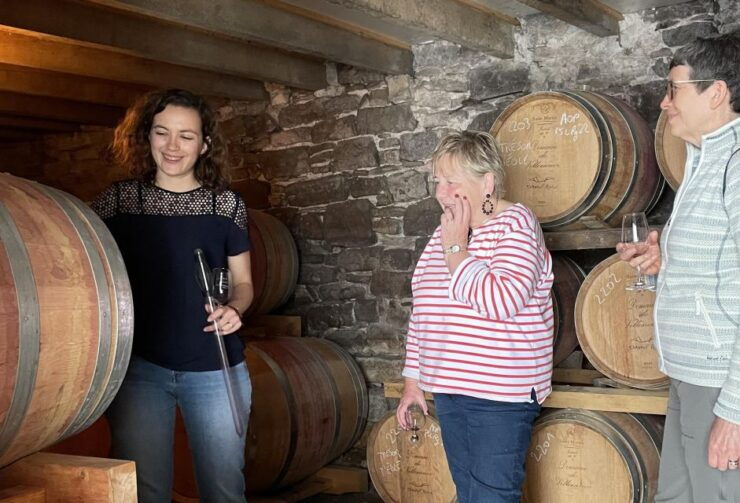 Montpellier: Half-Day Visit and Tasting at Pic St Loup - Highlights of the Activity