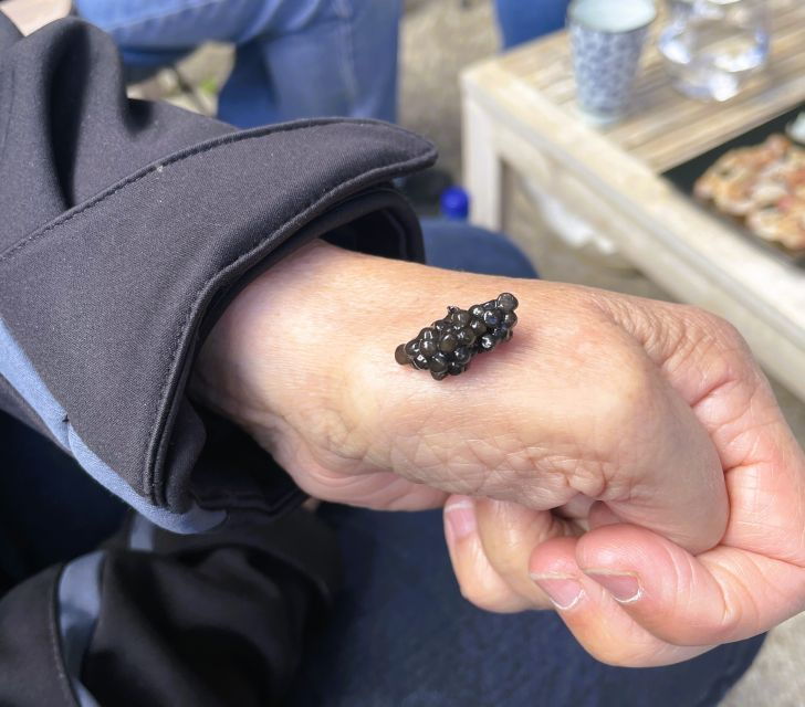 Montpellier : Half Day Wine and Caviar St Guilhem Le Désert - Booking and Tour Details