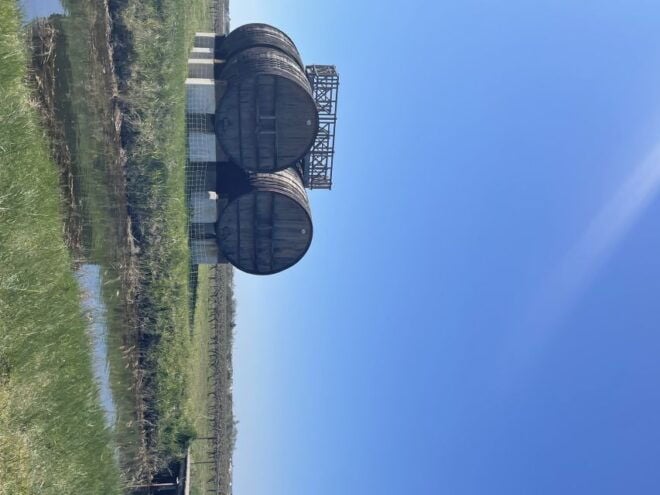 Montpellier : Half Day Wine Tour in Camargue - Vineyard Visits