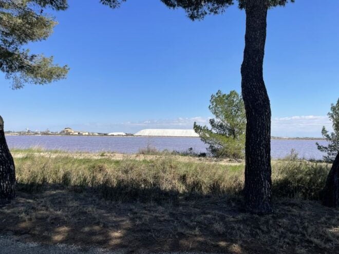 Montpellier : Half Day Wine Tour in Camargue - Picnic and Local Products