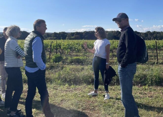 Montpellier: Half-Day Wine Tour With Lunch - Oyster Farm Visit and Tasting Experience