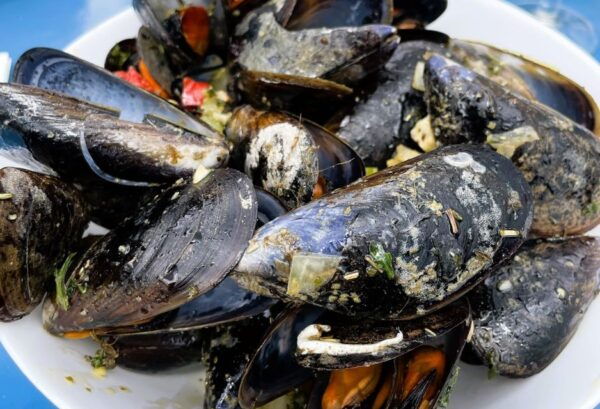 Montpellier: Half-Day Wine Tour With Lunch - The Sum Up