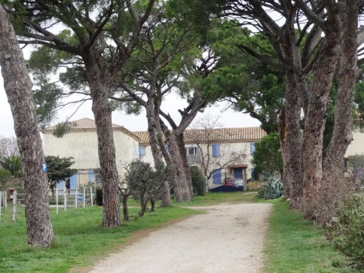 Montpellier: Personalized Day-Tour of the South of France - Good To Know