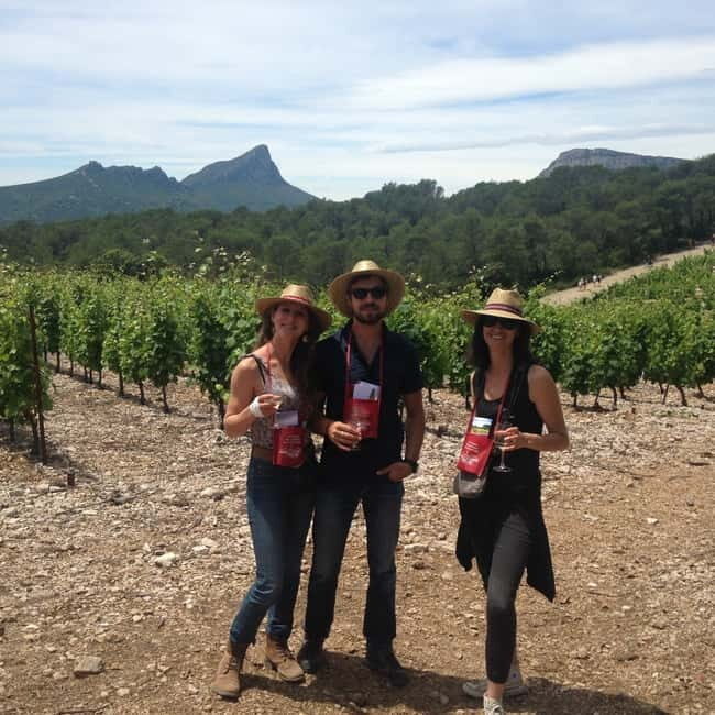 Montpellier: Pic Saint-Loup Wine Tour - Authentic Experiences That Shine