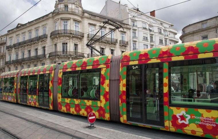 Montpellier Private Guided City Tour - Preparation and Recommendations
