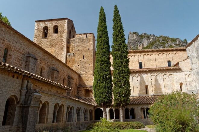 Montpellier: St. Guilhem Le Désert and Moureze Day-Trip - Visiting the Medieval Bridge and Abbey