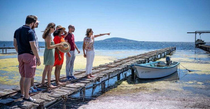 Montpellier Wine and Oyster Tour - Activity Details