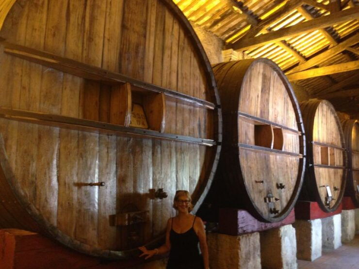 Montpellier Wine and Oyster Tour - Highlights