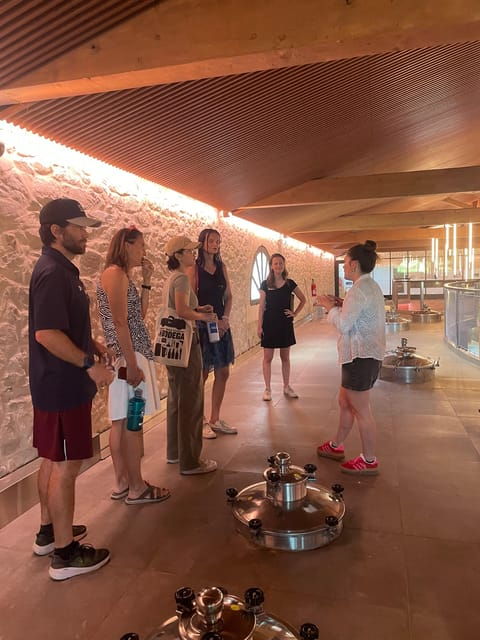 Montpellier: Wine Tour Pic St Loup - Itinerary and Activities
