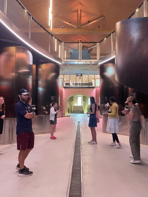 Montpellier: Wine Tour Pic St Loup - Highlights and Experience
