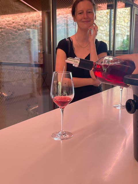 Montpellier: Wine Tour Pic St Loup - Vineyard Visits and Tastings