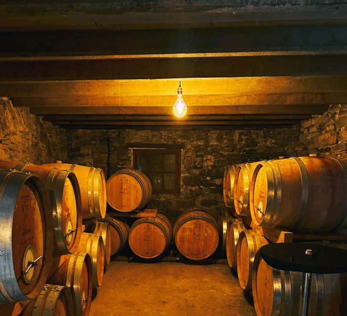 Montpellier: Wine Tour Pic St Loup - Meet the Women Winemakers