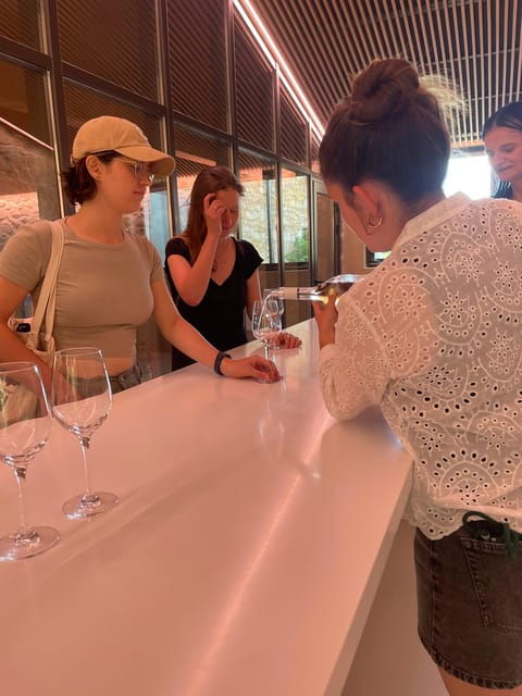 Montpellier: Wine Tour Pic St Loup - Honey Tasting and Local Specialties