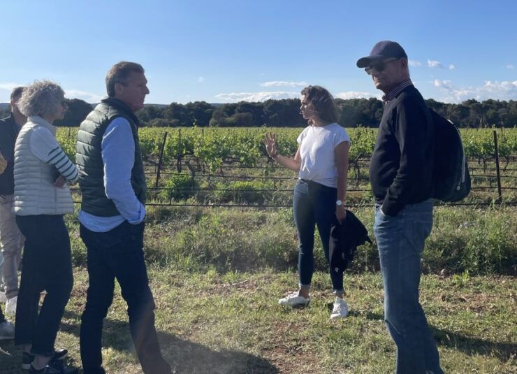 Montpellier:Discover the Town of Sète, Oysters and Vineyards - Discovering the Enchanting Etang De Thau