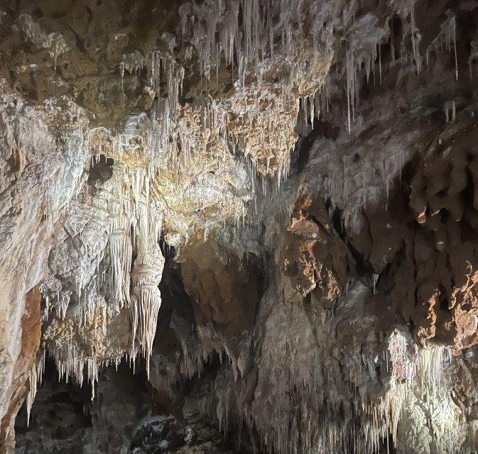 Montpellier:Half-Day Terrasses Du Larzac Wine and Grotto - Booking Details
