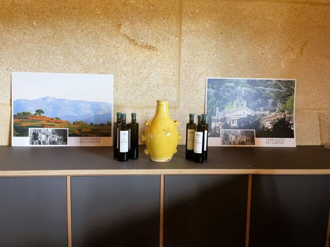 Montpellier:Half-Day Terrasses Du Larzac Wine and Grotto - Live Tour Guide