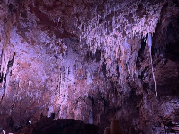 Montpellier:Half-Day Terrasses Du Larzac Wine and Grotto - Additional Information