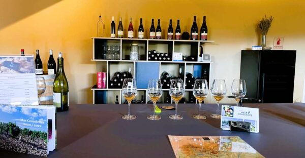 Montpellier:Half-Day Terrasses Du Larzac Wine and Grotto - The Sum Up