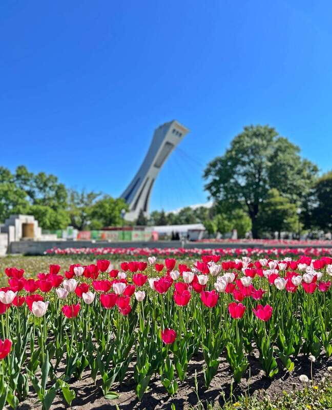 Montreal 3-Hour Private Car Tour with Expert Local Guide - Good To Know