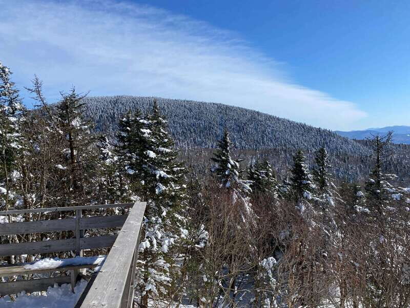 Montreal: Canadian Forest Guided Tour by Snowmobile - What Do Reviewers Say?