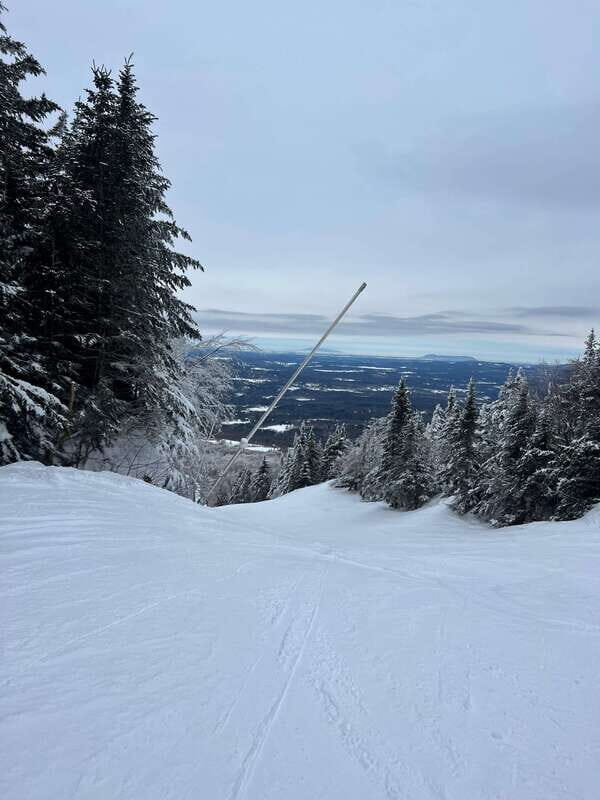Montreal: Canadian Forest Guided Tour by Snowmobile - Who Would Enjoy This Tour?